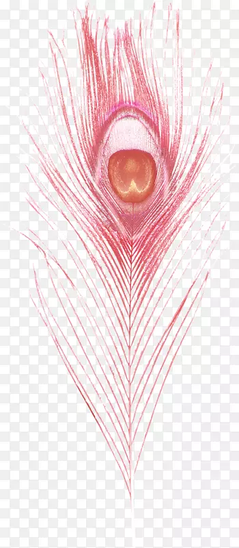 ��ë�ƻ��ֻ���ë-������