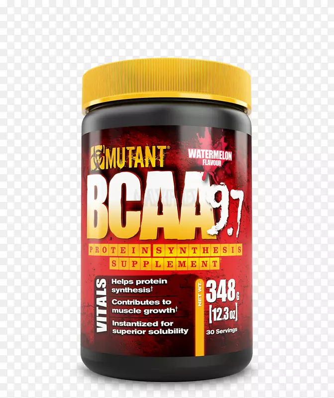 ֧����������ʳ����������֧-BCAA-������