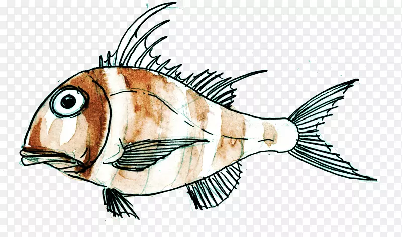 SAR�������������������-��ѧ-������