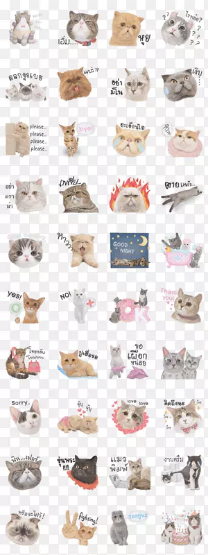 Ь�ǰͶ�˹�͸߹�������-����-������