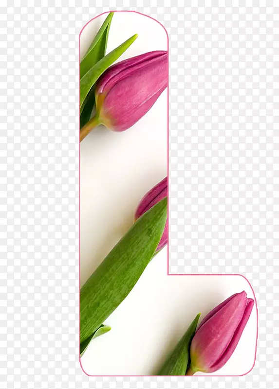 ѿֲ�ﾥ�����뿪��ֲ��-deus-������