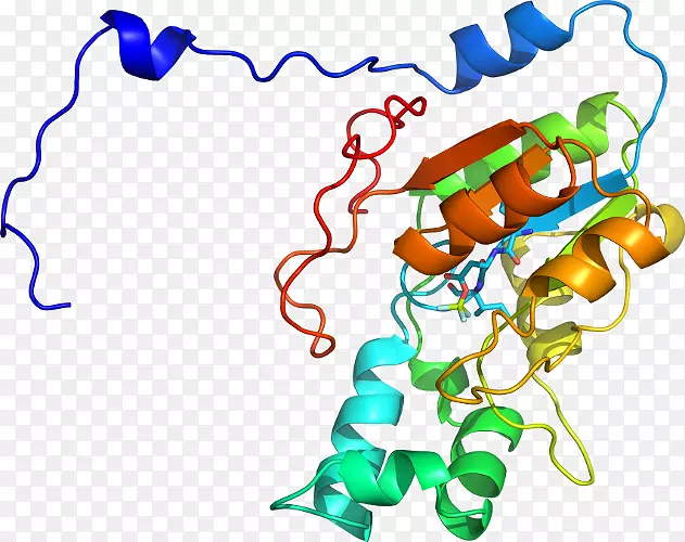 �ߵ������������-������