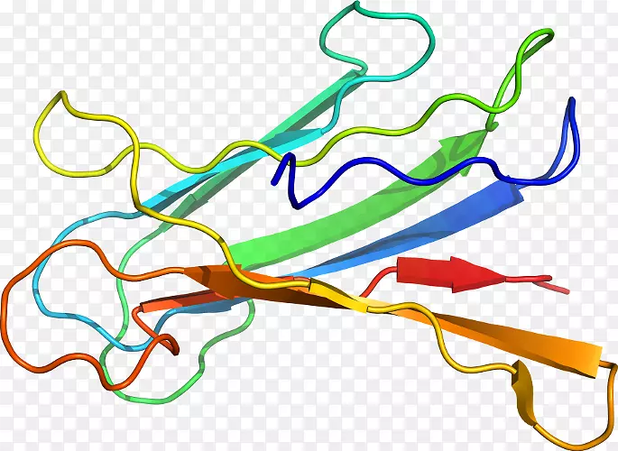 �ߵ������-��-������