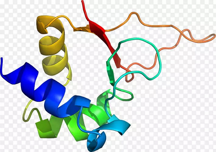 �����鱦������.���-������