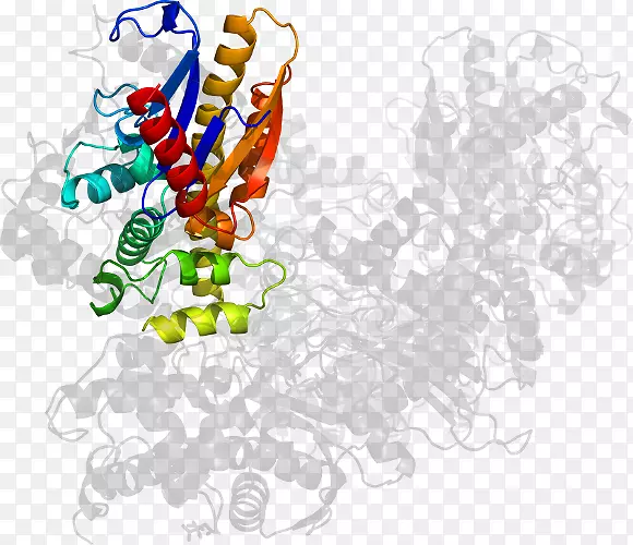 ʳ�����߼�����-��-������