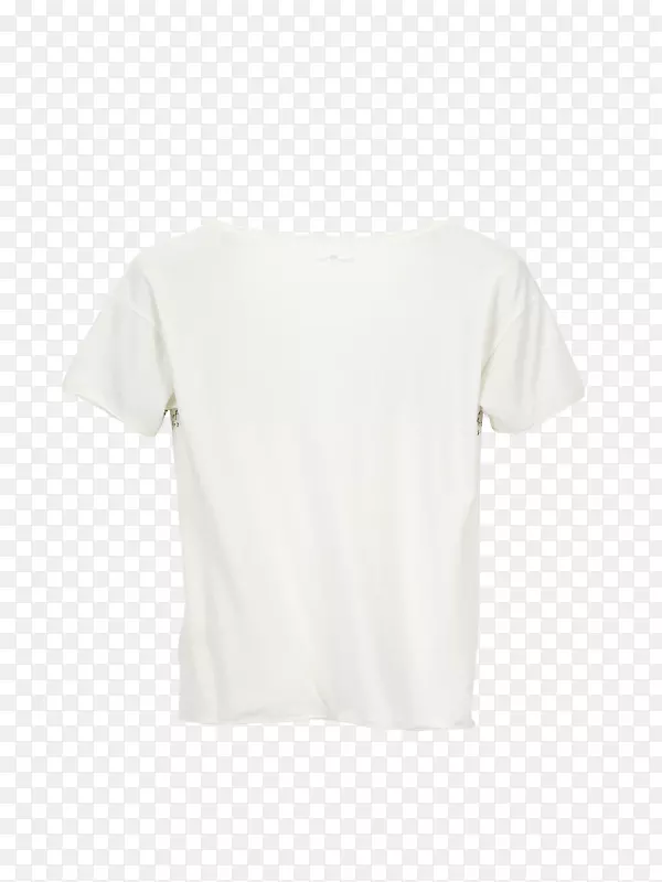 T-������˹������������ʵ��������-����-�к�-������