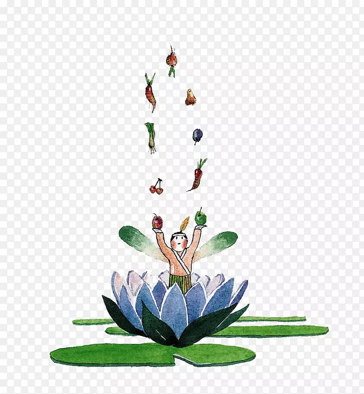 ˮ�ʻ�-��ֲͨ��ˮ�ʻ�������-������