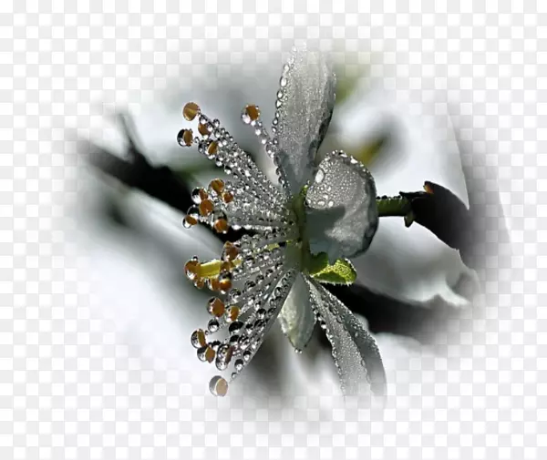 ̨ʽ��ֽ��д���Ա�ֽ����-������