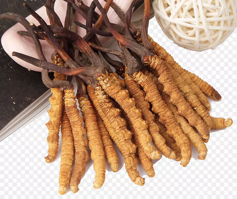 �ݱ�ëë�������ҩ��ҩҰ�ݶ����Ĳ�-������