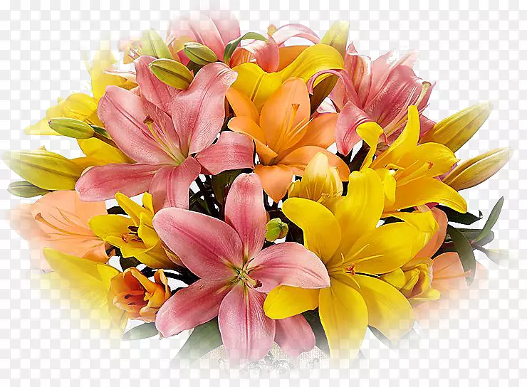 ��������л��ʼҰٺϻ���-������