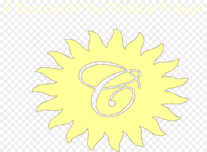 ������������-������