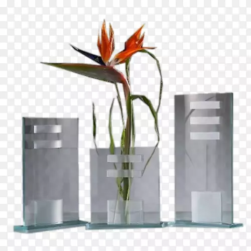 ��ƿ���ͻ���-������