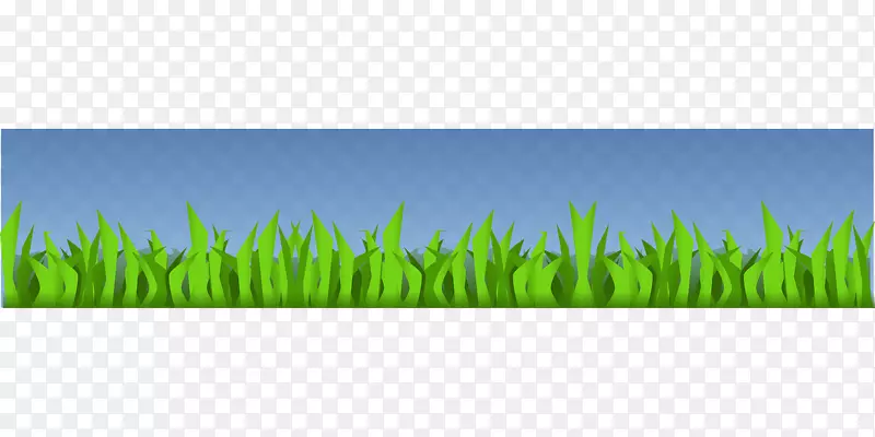 ��ƺ�ݵ��ܲ����-������