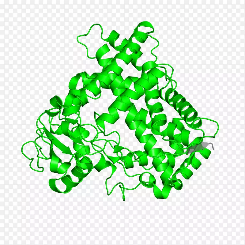 ���߼�����-��-������