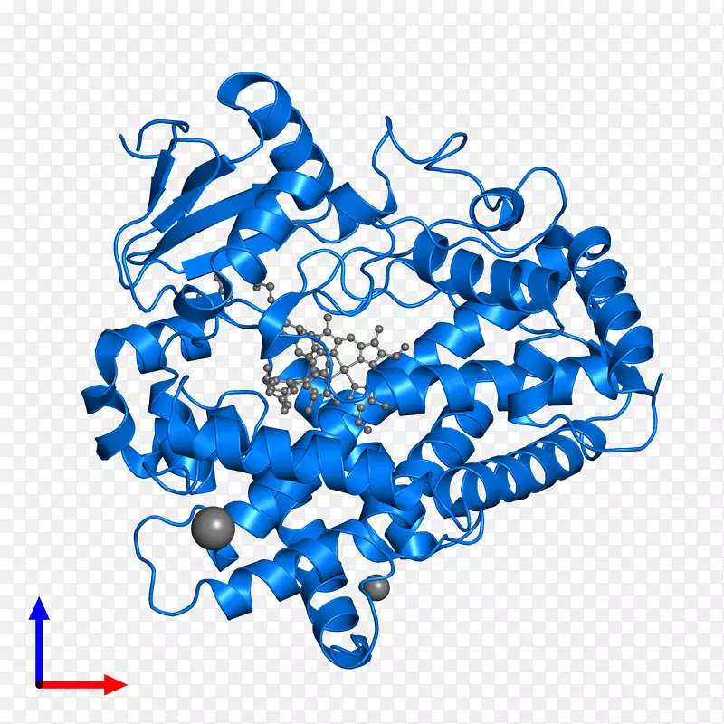 ������Ϊ���л������-������