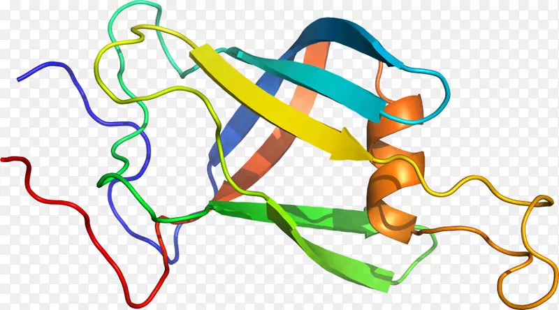 �ߵ������������-������