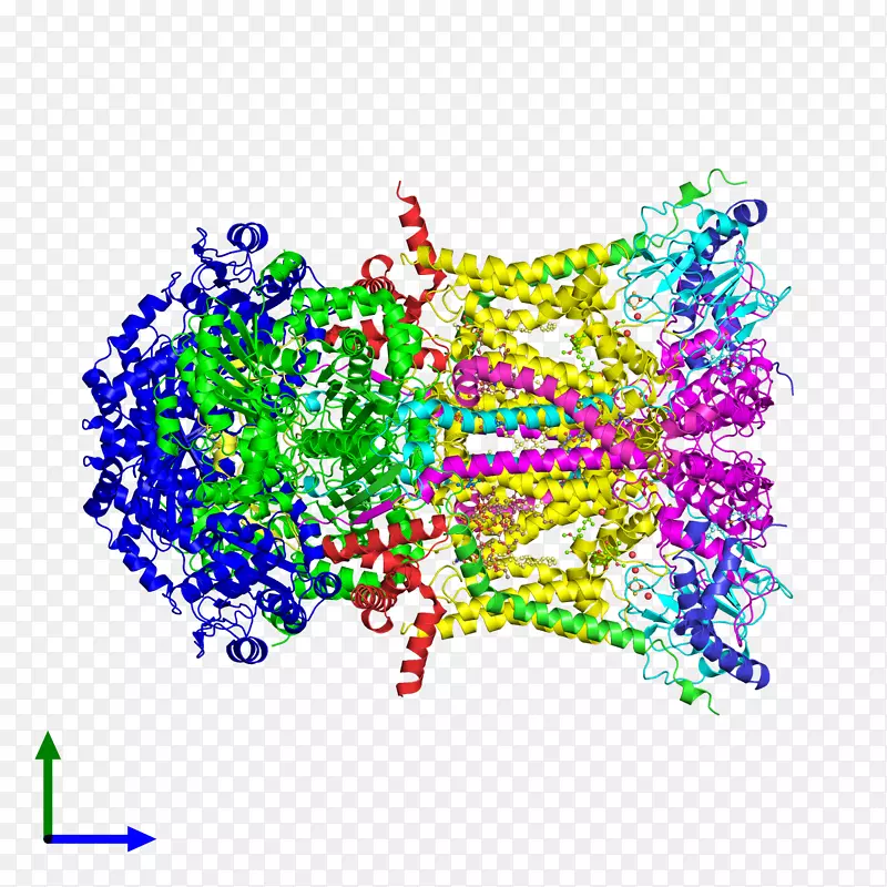 ����ƽ������ߵ���-������