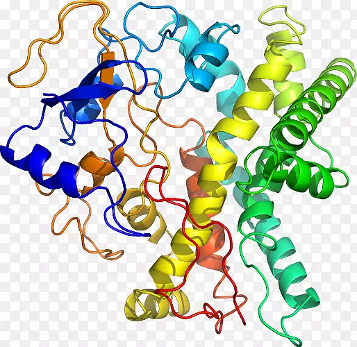 ���������л����߼�������-������