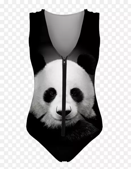 t��Ӿװ�����¹�����-������