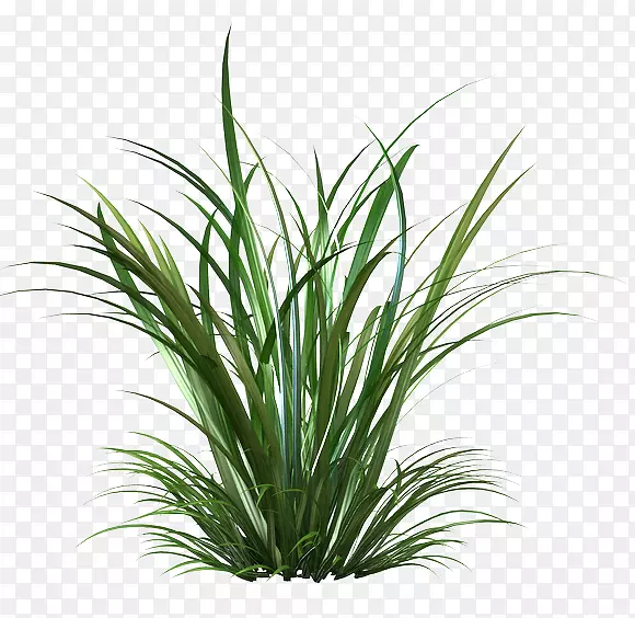 �����ֽ������-����կ��-������