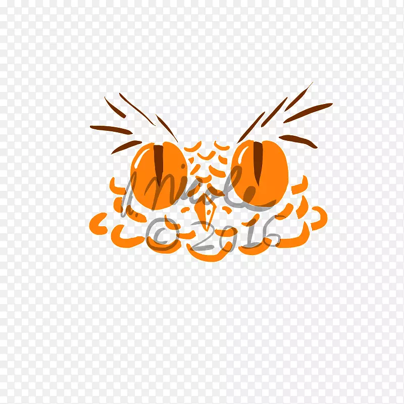 ���涯��������-����-������