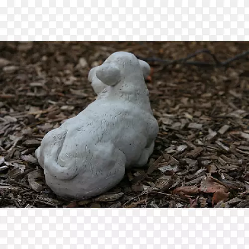 ���Ƕ������-����ĸţ-������