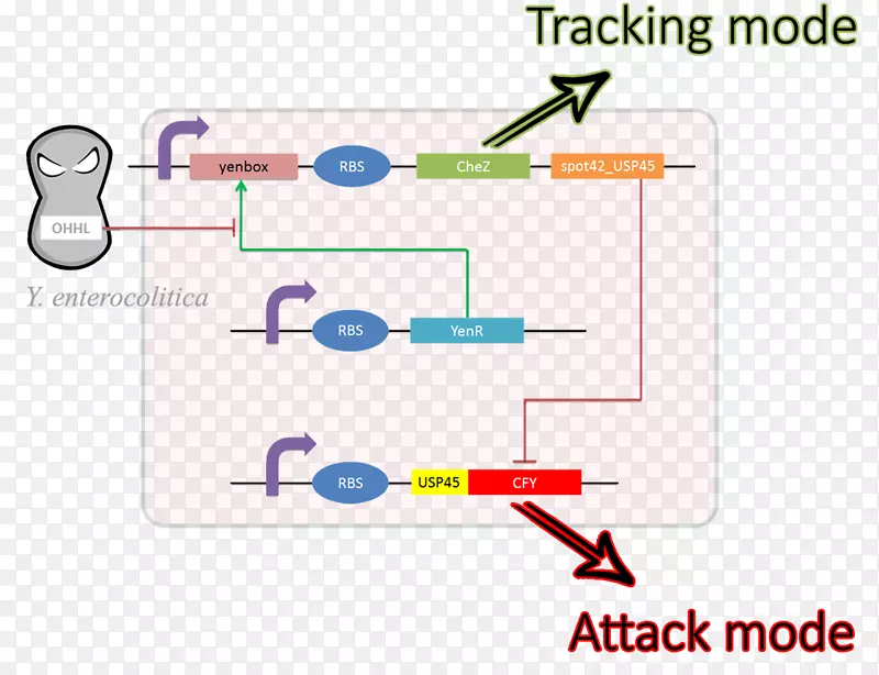 ͼ�����Ͻ�-������