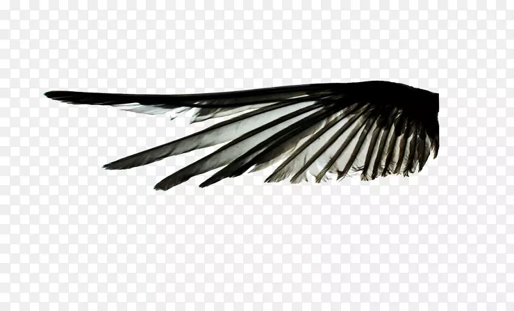 Naver���ͺڰ���ָ����-������