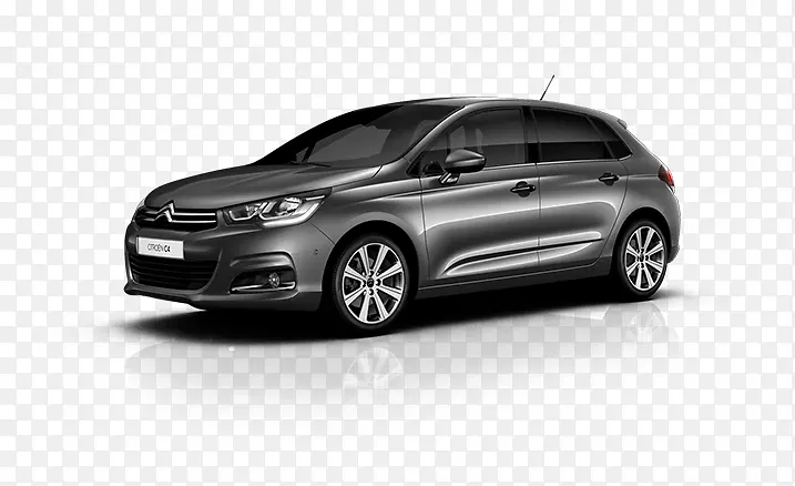 ѩ����c4�ϼ�������Citro n DS Citro n c4������ѩ����-������