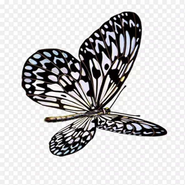 ��������ͼ��-����-������