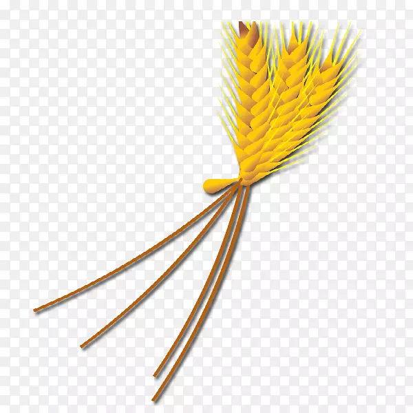 �̱��ƹ���ʳƷ��-���ǰ�-������