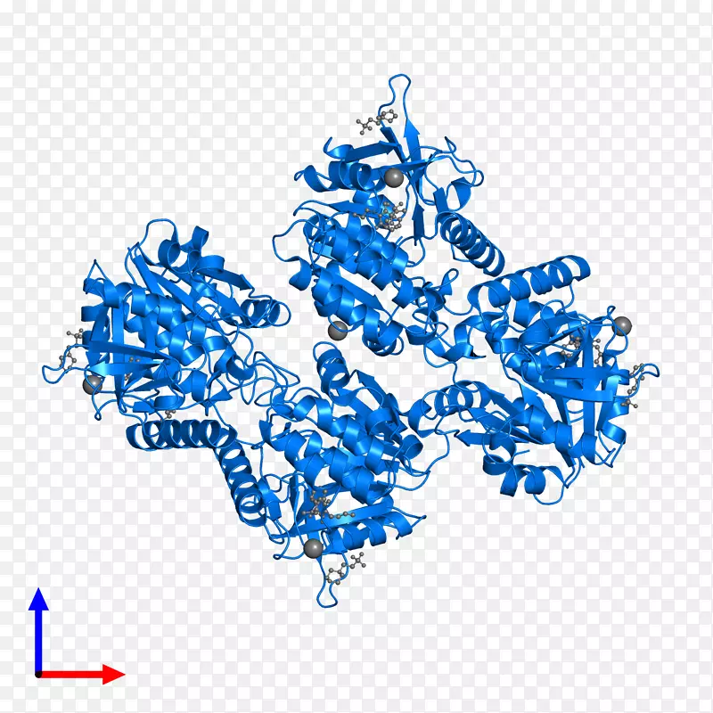 �ߵ�������-������