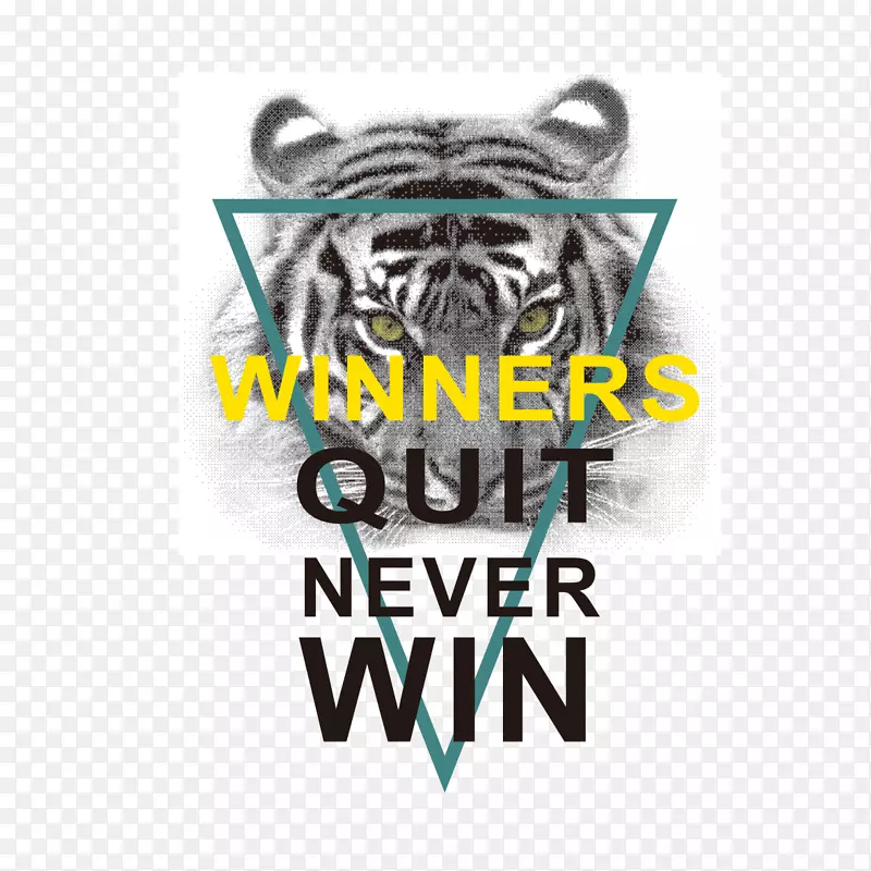 ӡ��t��������-������