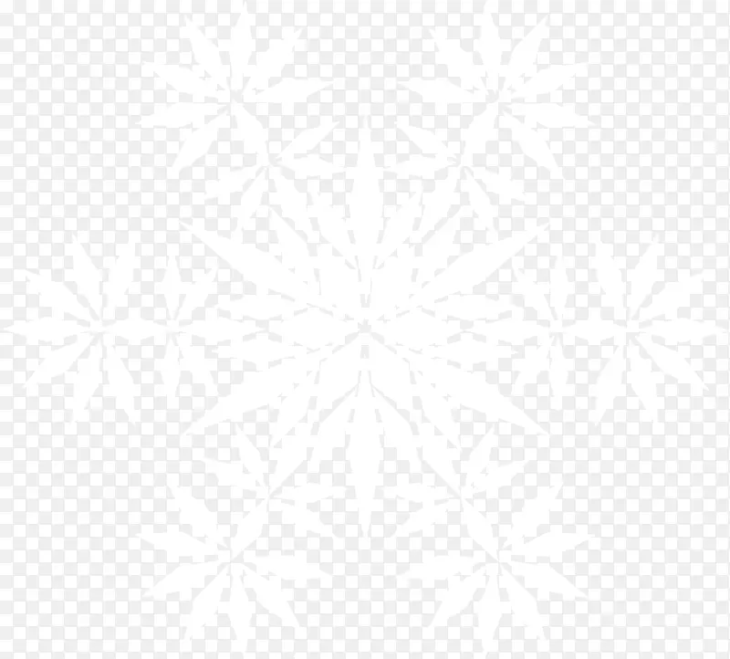 �ڰ׷�֯Ʒ�Գ�ͼ��.��ɫ����ѩ��-������