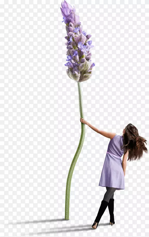 ��ױƷ�������޹�²��л�-Ŀ��-������