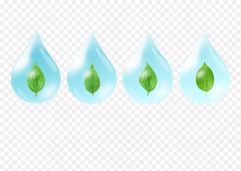 �̵�Ҷ-������