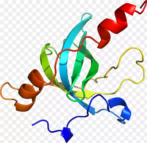 Ҷֲ�ﾥ�߶��������-������