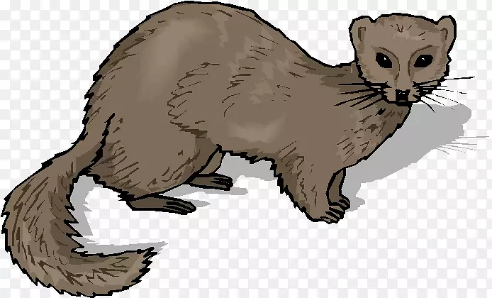 ѩ����-������