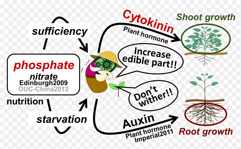 Ʒ�����߱�־������-��-������