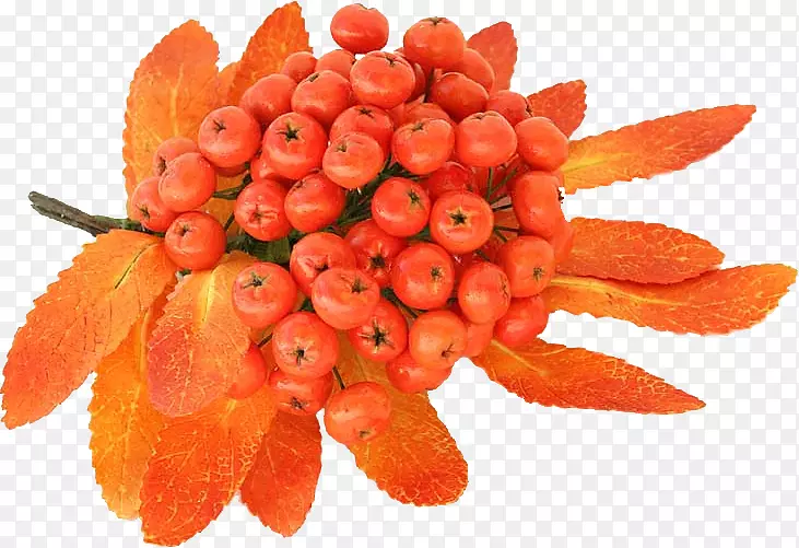 ����ɽ�Ҽ�����-����-������