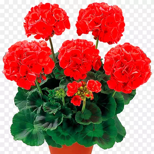 ���ÿ�-���ާ�֧ݧ�ߧ��֧�ѧ��֧ߧڧ񿪻�ֲ��-������