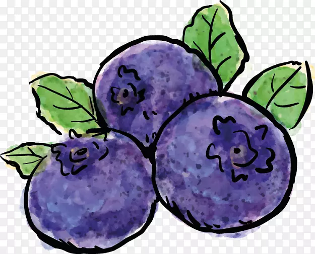 ��ݮ��Ӱ�滭������ݮ-������