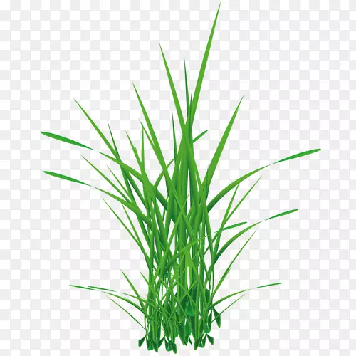 ��Ӱ��������-������