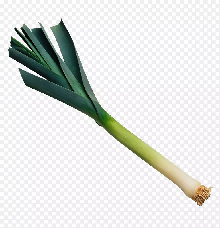 �²��߲����-����-������