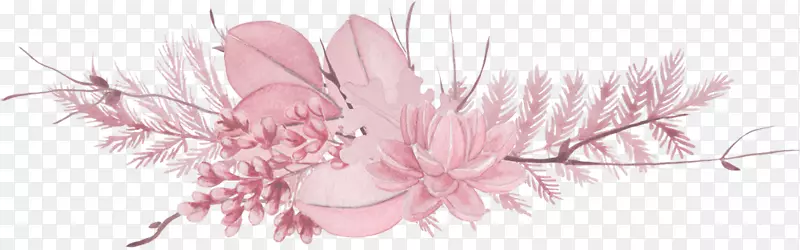 �ʻ���ƻ���ظ�ü���-������