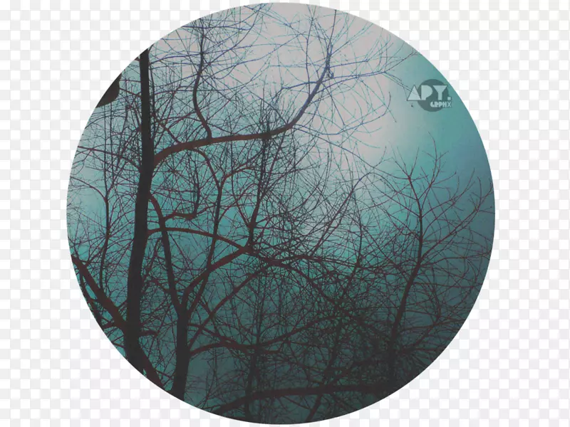 ����ʯ-������