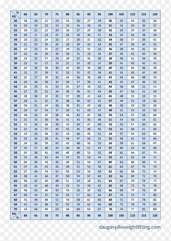 �ߵ��������-������