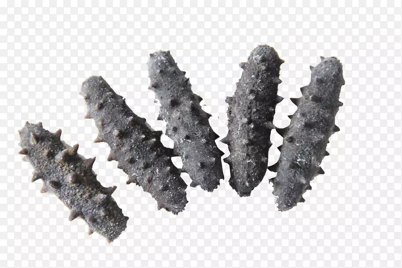 �׺ں���-������