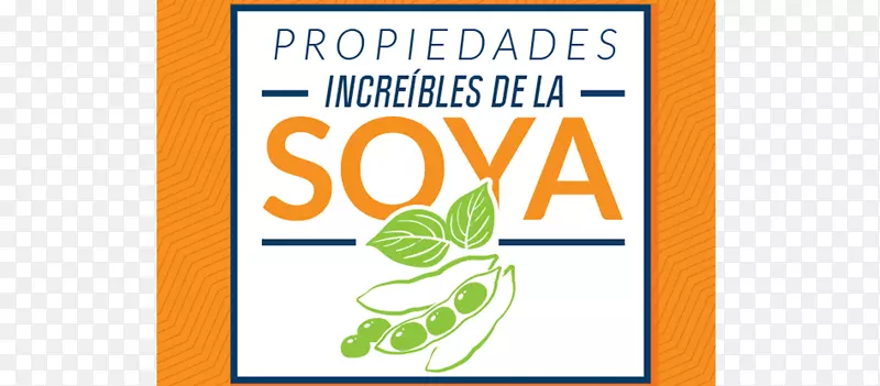 ��־Ʒ�ƺ����-������