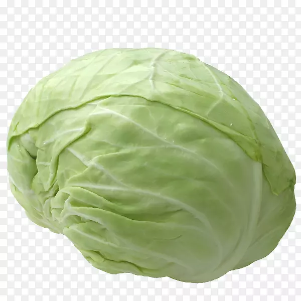 ʮ�ֻ����߲ˣ�ͷ״�����߲ˣ�ɳ�߲ˣ����Ĳˣ����ˣ��߲�-������